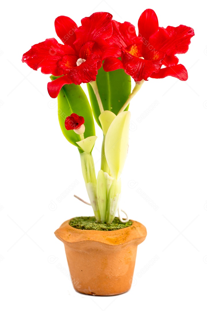 Orquídea Flor Planta em Vaso Casa de Bonecas Miniaturas Jardim Isolar