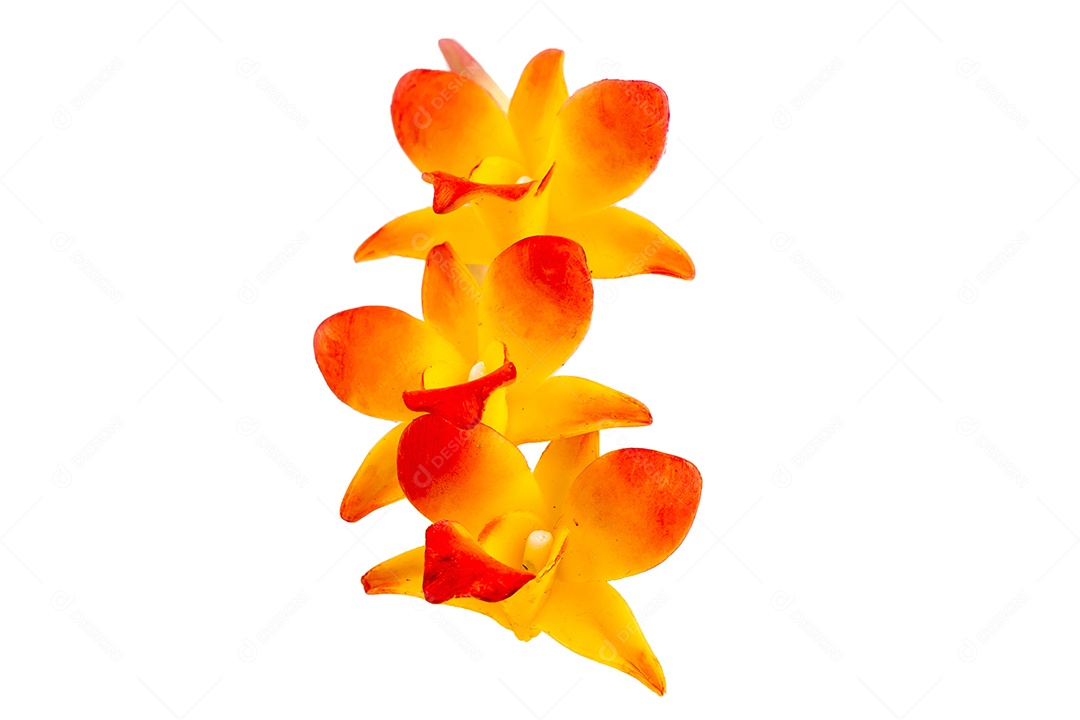 Orquídea Flor Planta em Vaso Casa de Bonecas Miniaturas Jardim Isolar