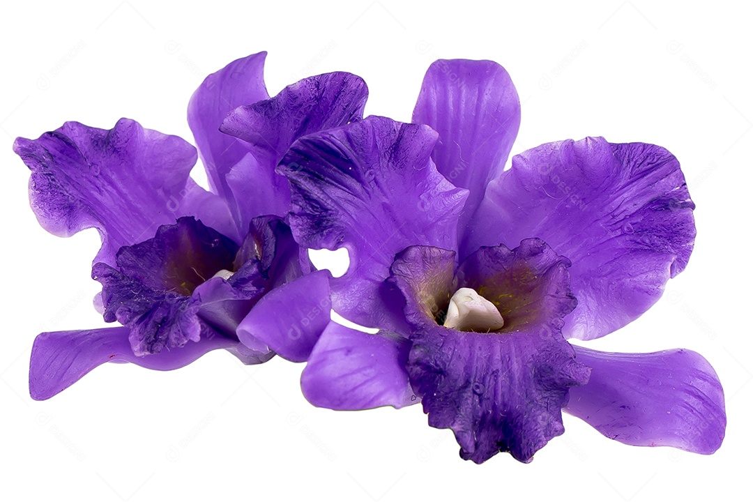 Orquídea Flor Planta em Vaso Casa de Bonecas Miniaturas Jardim Isolar