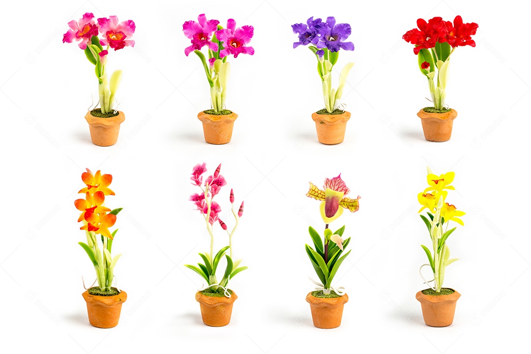 Planta de flores ORQUÍDEA em vaso de miniaturas de casa de bonecas jardim isolar fundo