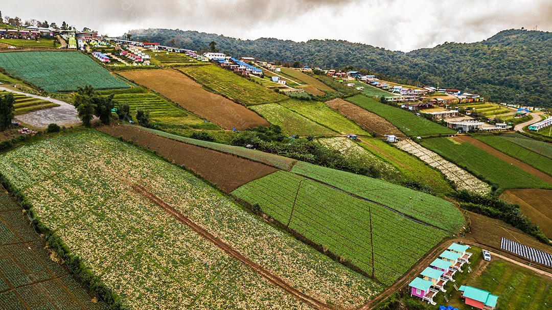 Uma vista aérea da área agrícola
