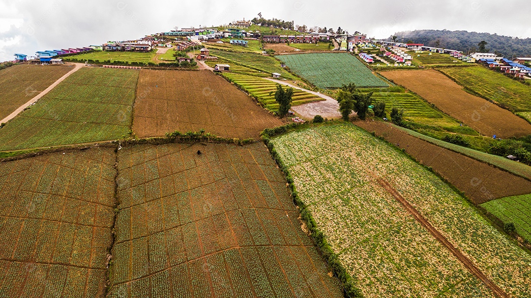 Uma vista aérea da área agrícola