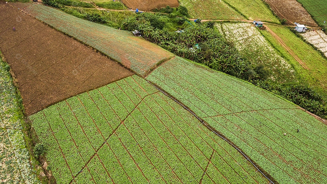 Uma vista aérea da área agrícola