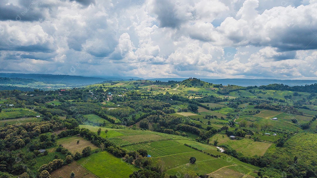 Uma vista aérea da área agrícola.