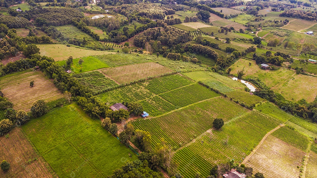 Uma vista aérea da área agrícola.