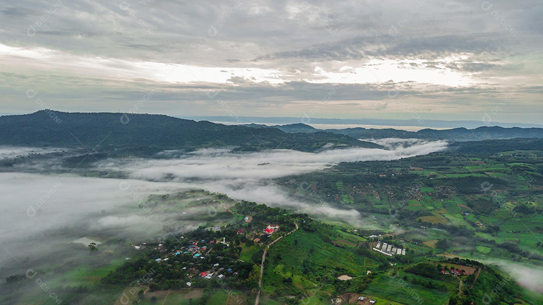 Montanhas com árvores e nevoeiro.