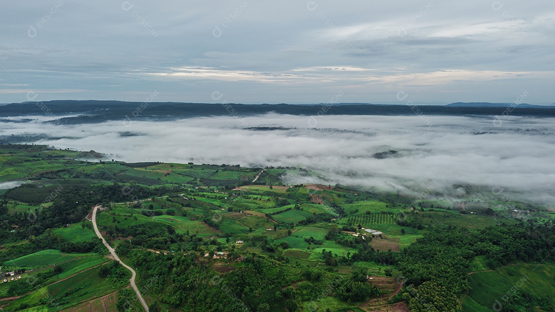 Montanhas com árvores e nevoeiro.