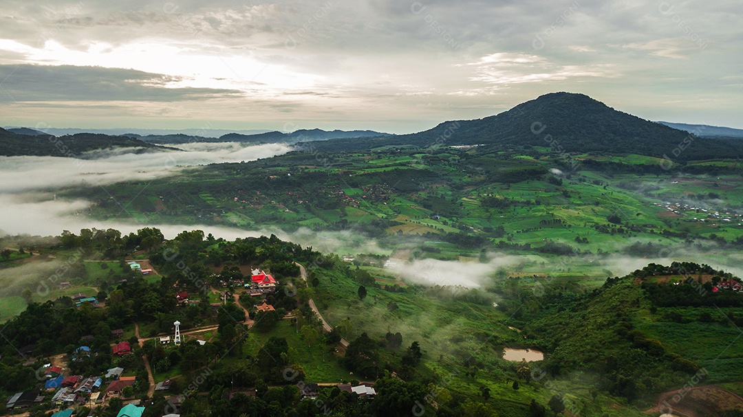 Montanhas com árvores e nevoeiro.