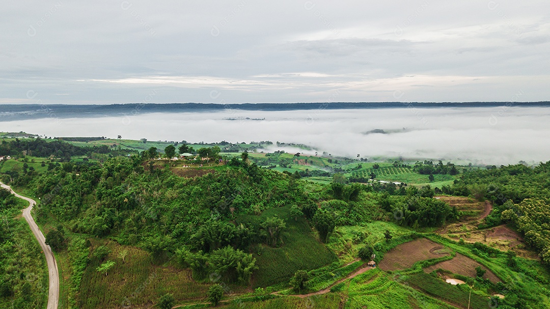 Montanhas com árvores e nevoeiro.