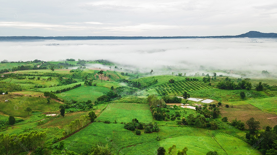 Montanhas com árvores e nevoeiro.