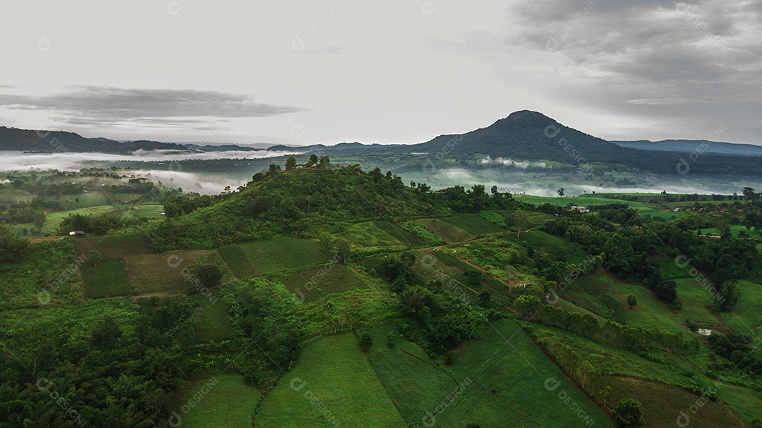 Montanhas com árvores e nevoeiro.