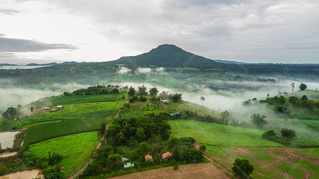 Montanhas com árvores e nevoeiro.