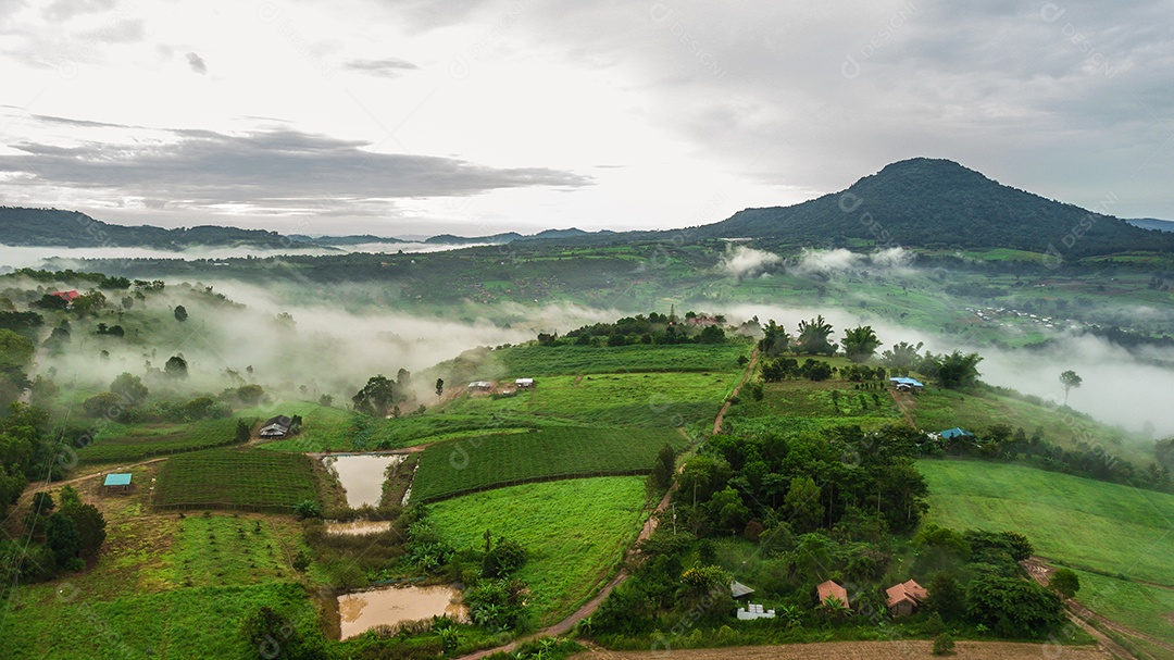 Montanhas com árvores e nevoeiro.