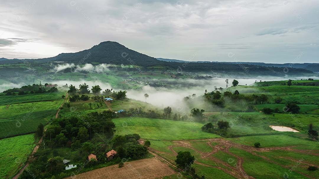 Montanhas com árvores e nevoeiro.