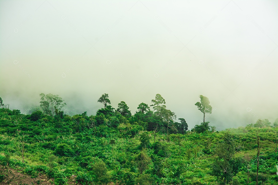 Paisagem de nevoeiro e montanha, na Tailândia.
