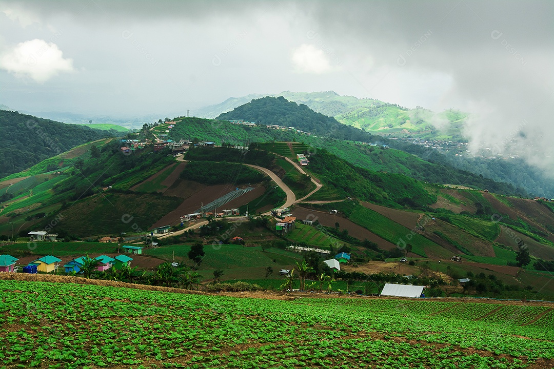 Paisagem da área agrícola na montanha, na Tailândia
