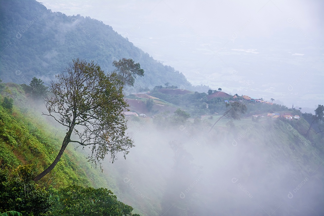 paisagem da floresta tropical na Tailândia