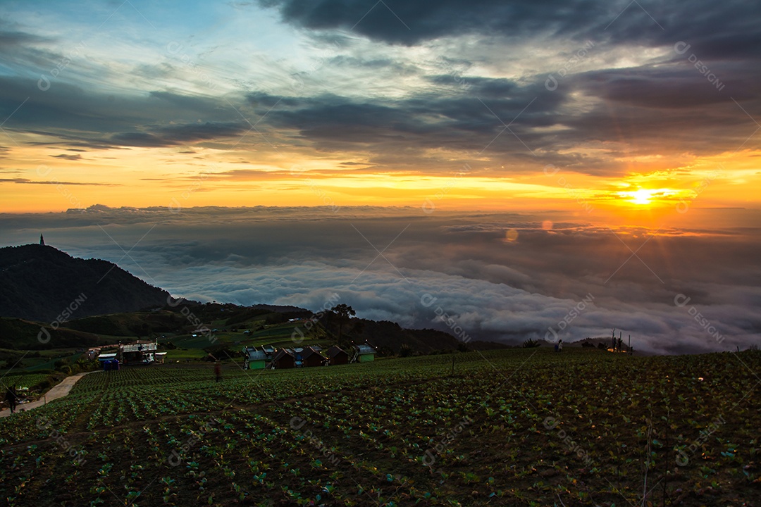 Névoa da manhã com montanha, nascer do sol e mar de mis.