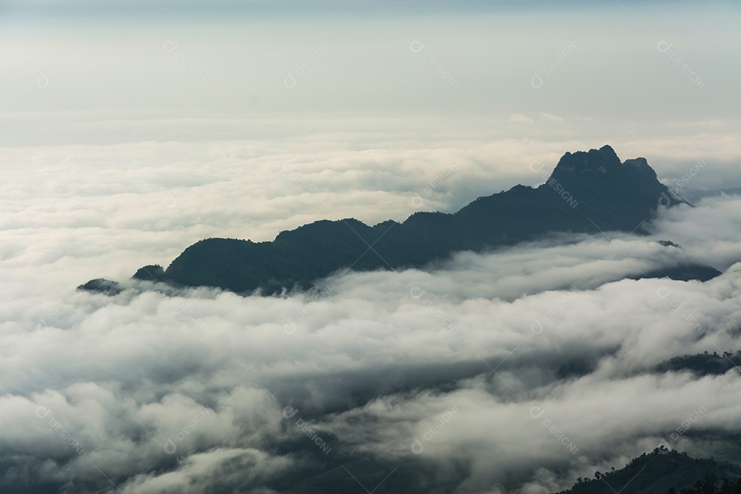 Névoa da manhã com montanha, mar de mis.