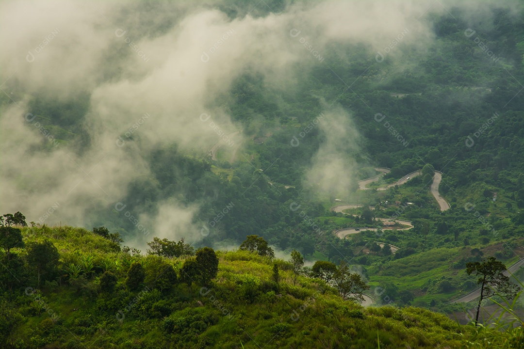 Névoa da manhã com montanha, mar de mis.