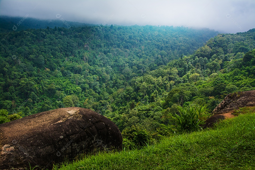 paisagem da floresta tropical na Tailândia