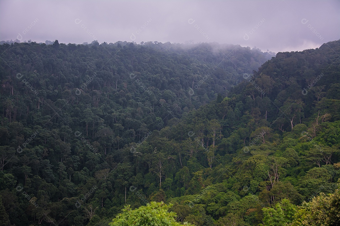 paisagem da floresta tropical na Tailândia