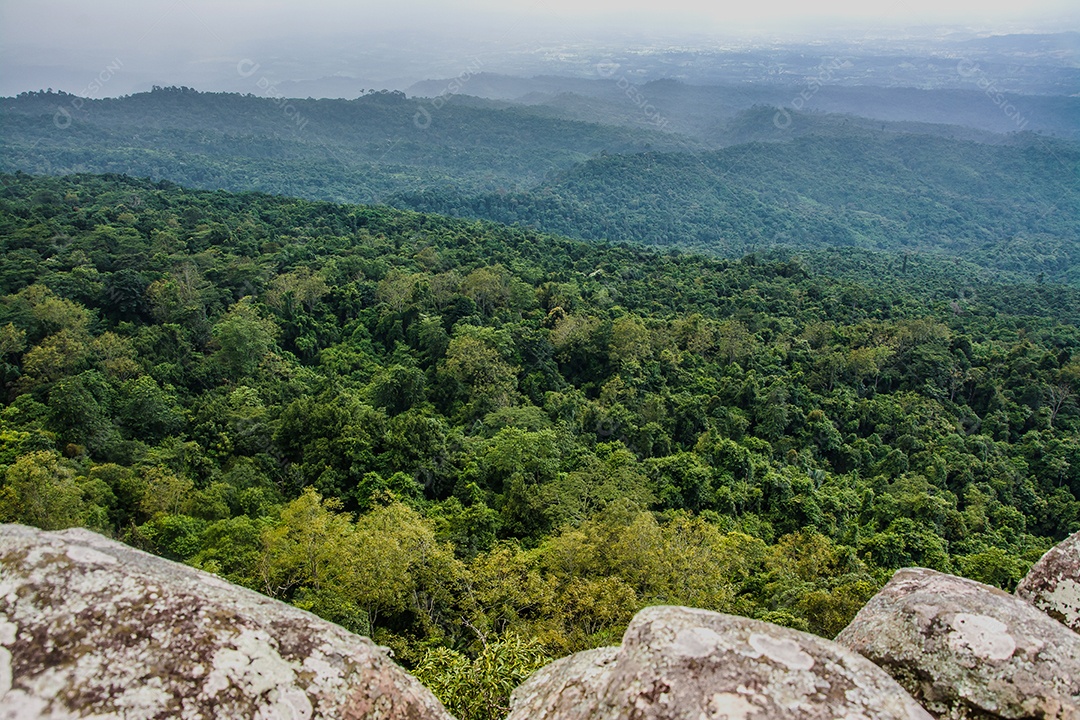 paisagem da floresta tropical na Tailândia