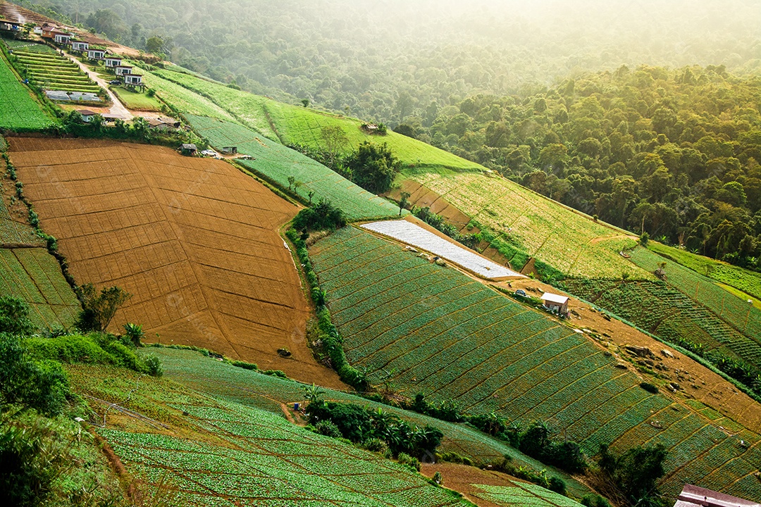 Paisagem da área agrícola na montanha, na Tailândia