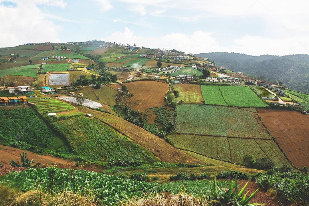 Paisagem da área agrícola na montanha, na Tailândia