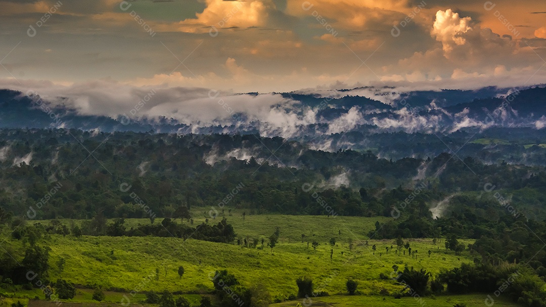 Montanhas com árvores e nevoeiro.