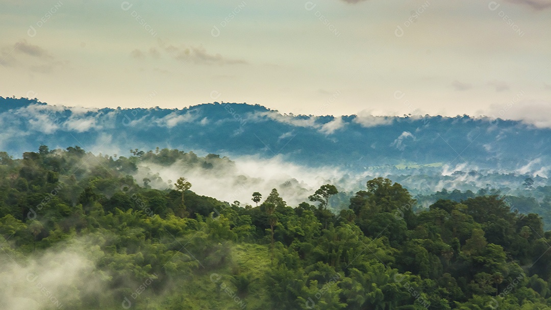 Montanhas com árvores e nevoeiro.