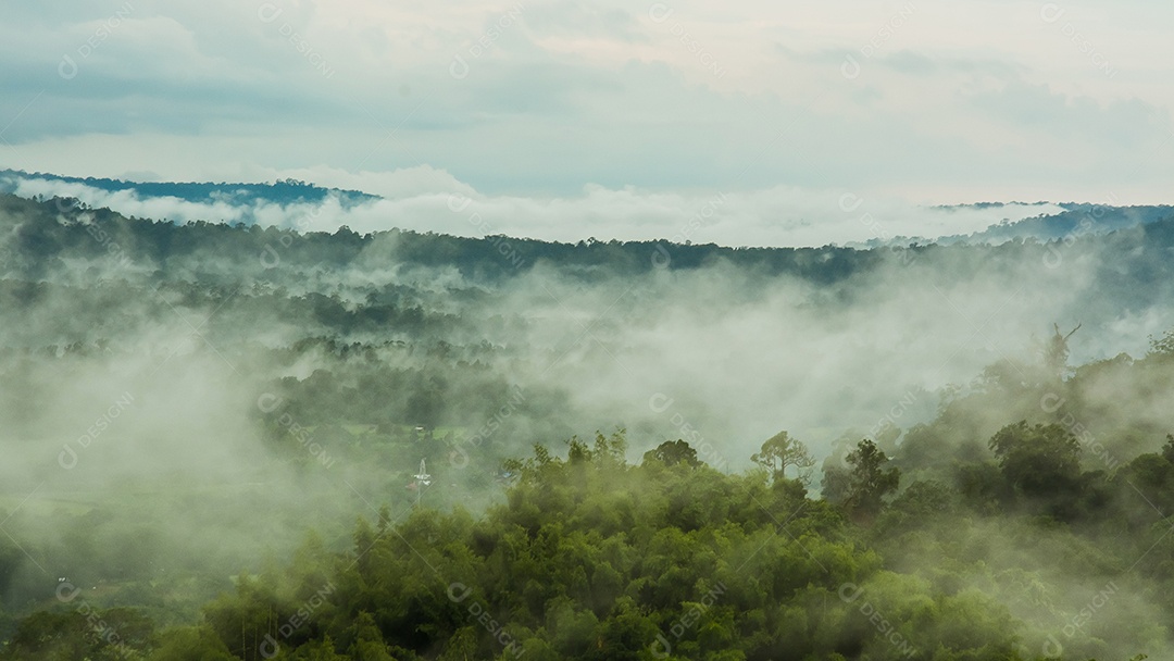 Montanhas com árvores e nevoeiro.