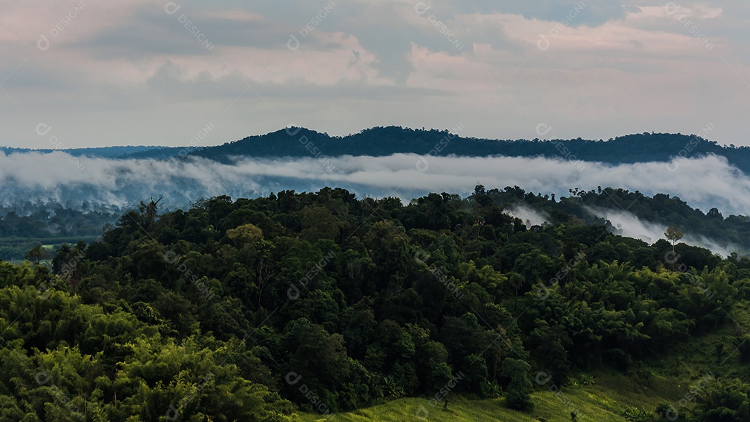 Montanhas com árvores e nevoeiro.