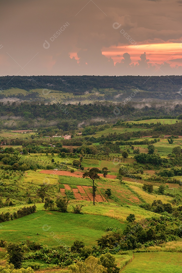 Montanhas com árvores e nevoeiro.