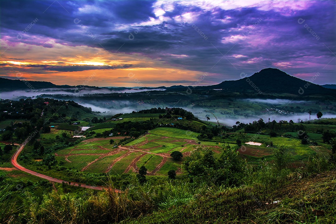 Montanhas com árvores e nevoeiro.