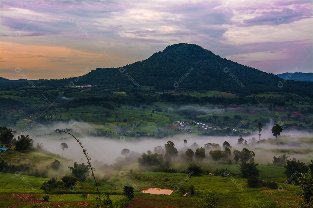 Montanhas com árvores e nevoeiro.