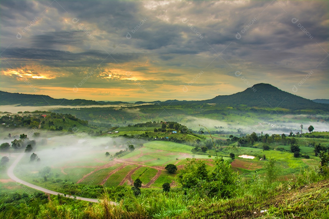 Montanhas com árvores e nevoeiro.