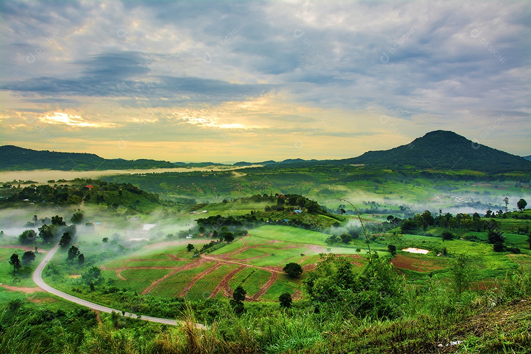 Montanhas com árvores e nevoeiro.