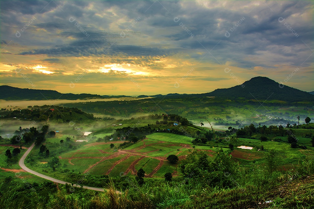 Montanhas com árvores e nevoeiro.