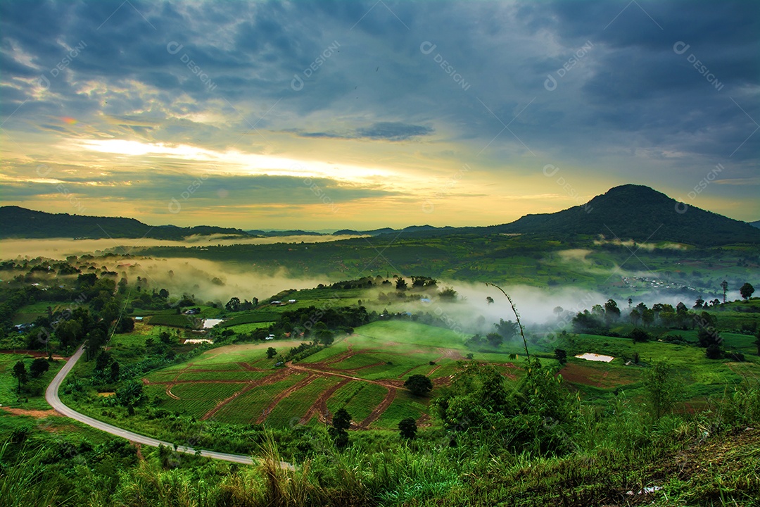 Montanhas com árvores e nevoeiro.