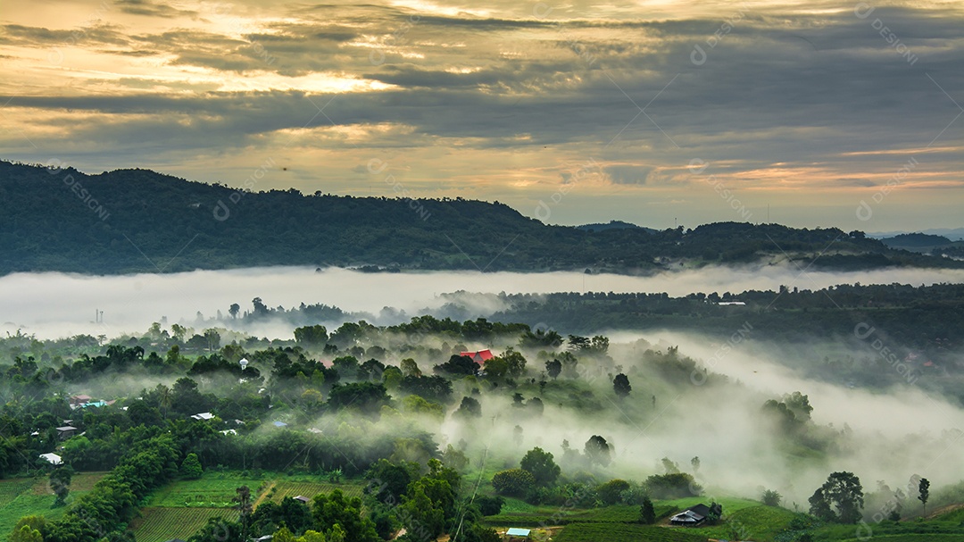 Montanhas com árvores e nevoeiro.