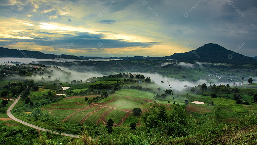 Montanhas com árvores e nevoeiro.