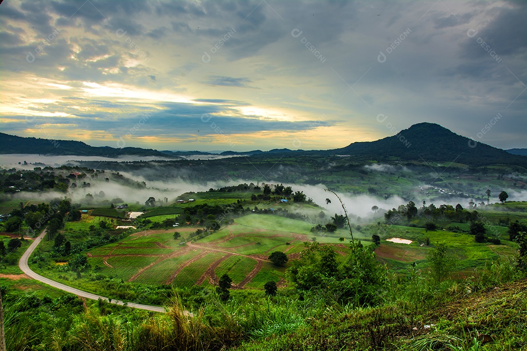 Montanhas com árvores e nevoeiro.