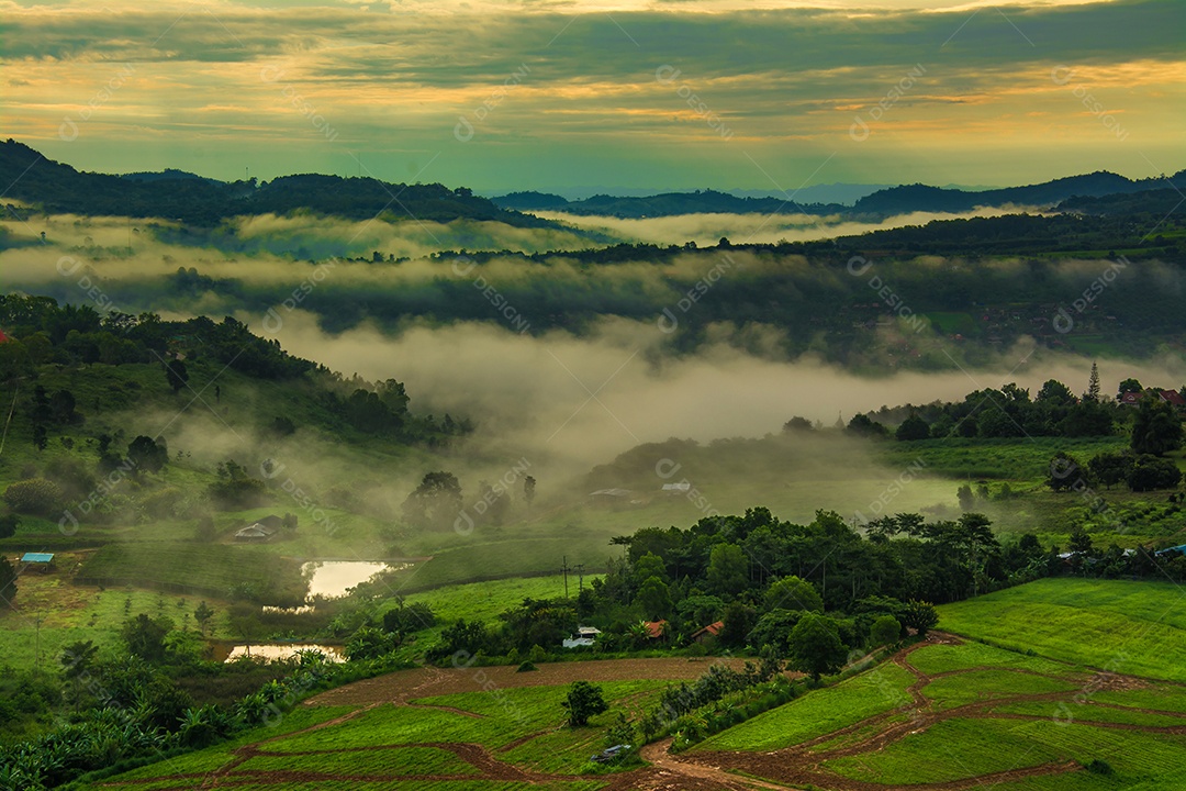 Montanhas com árvores e nevoeiro.