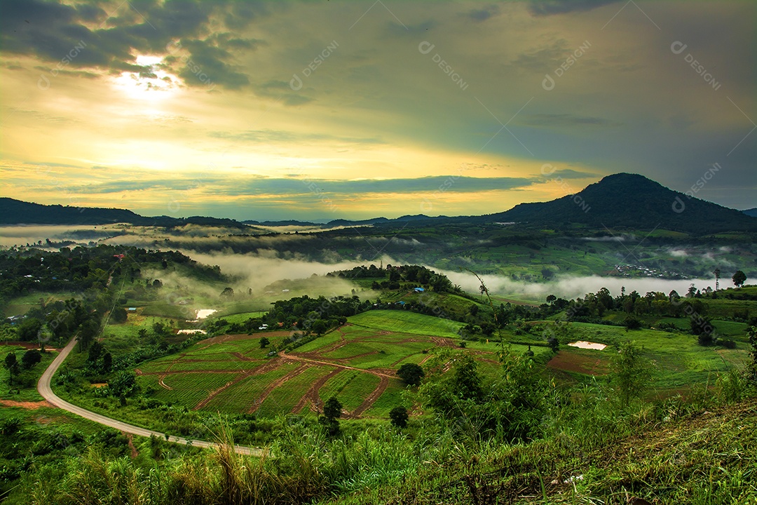 Montanhas com árvores e nevoeiro.