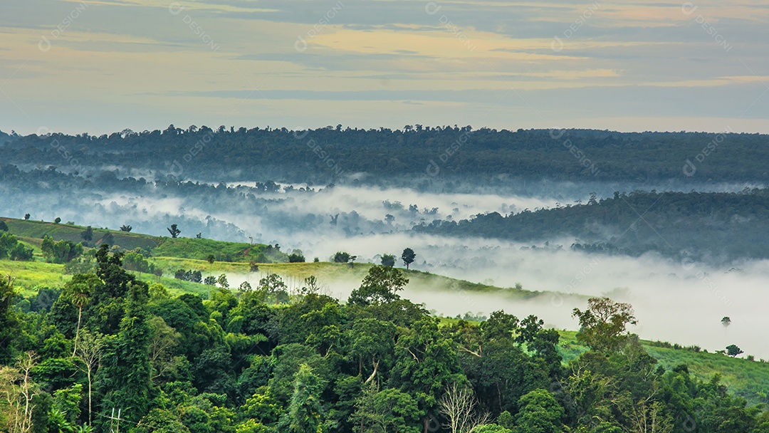 Montanhas com árvores e nevoeiro.
