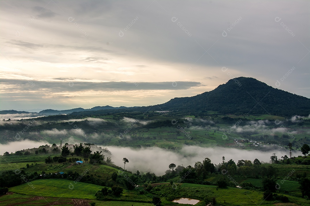 Montanhas com árvores e nevoeiro.