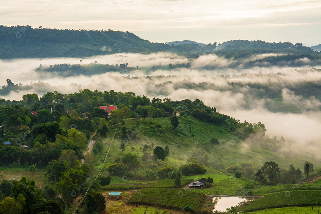Montanhas com árvores e nevoeiro.