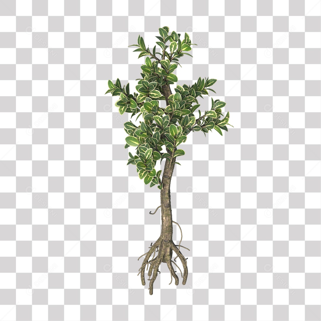 Árvores verdes PNG Transparente