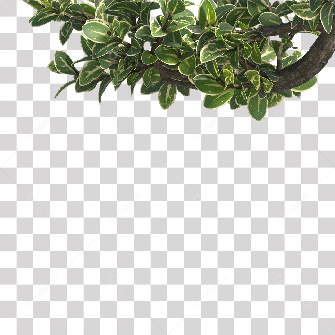 Galhos de folhas verdes PNG Transparente